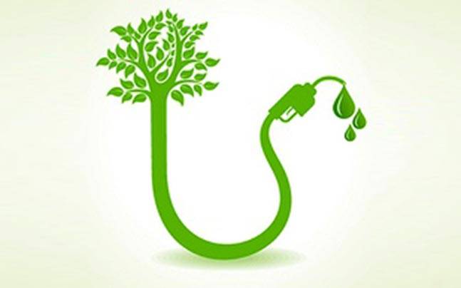 Anarobic Digestion