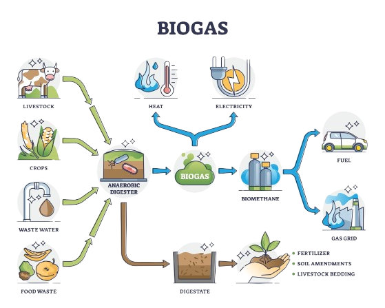 Anarobic Digestion